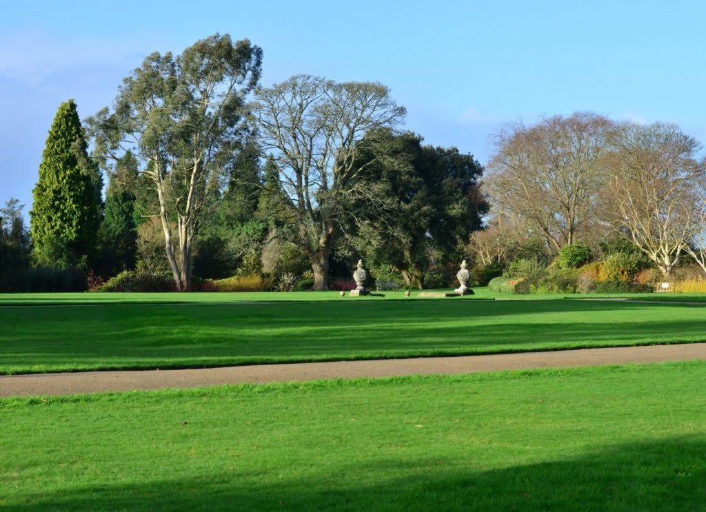 Homes for Sale in Winter Garden